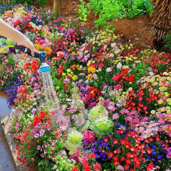 Mélange de graines de fleurs sauvages.