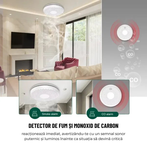 Détecteur intelligent de fumée et de monoxyde de carbone 2 en 1, WiFI, application